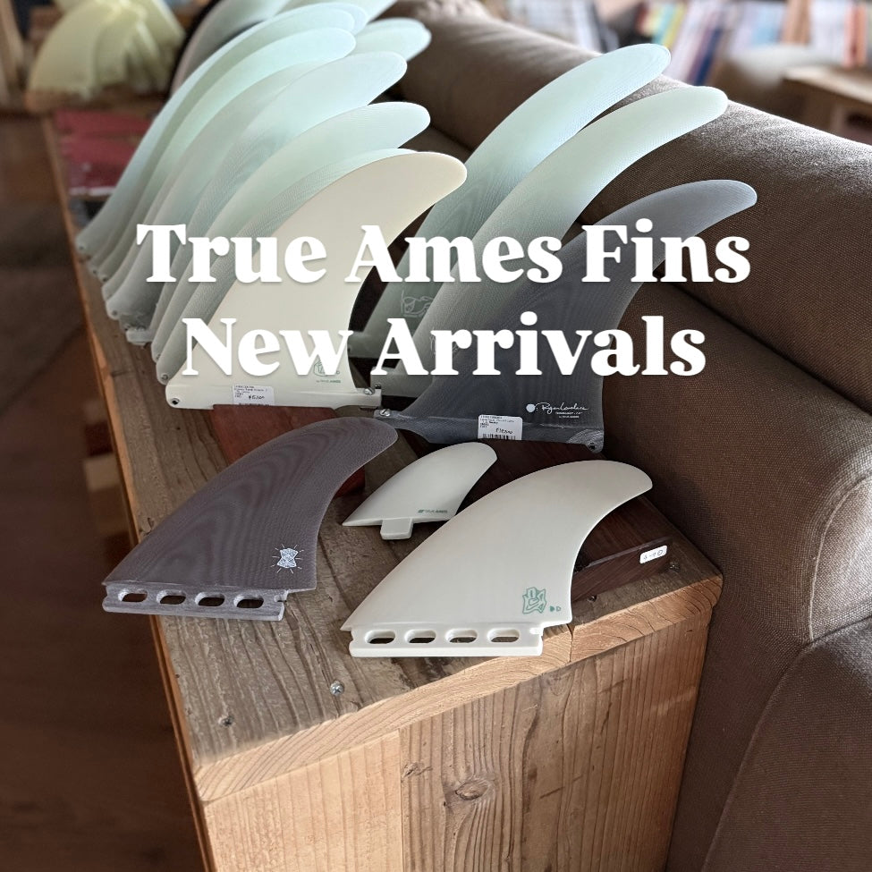 True Ames Fins ニューモデルが一挙入荷！