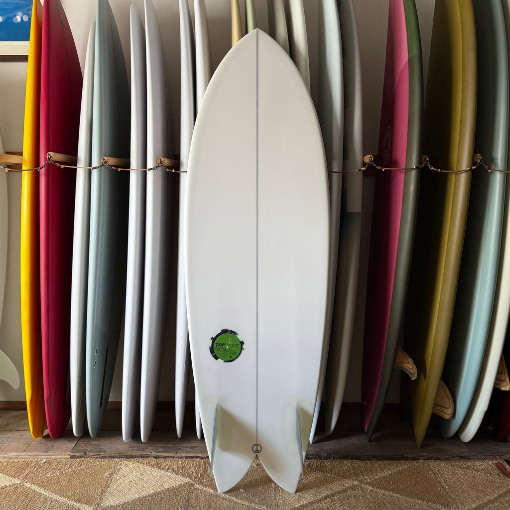 5’8” Tappy Record Cat Flex 5’8”
