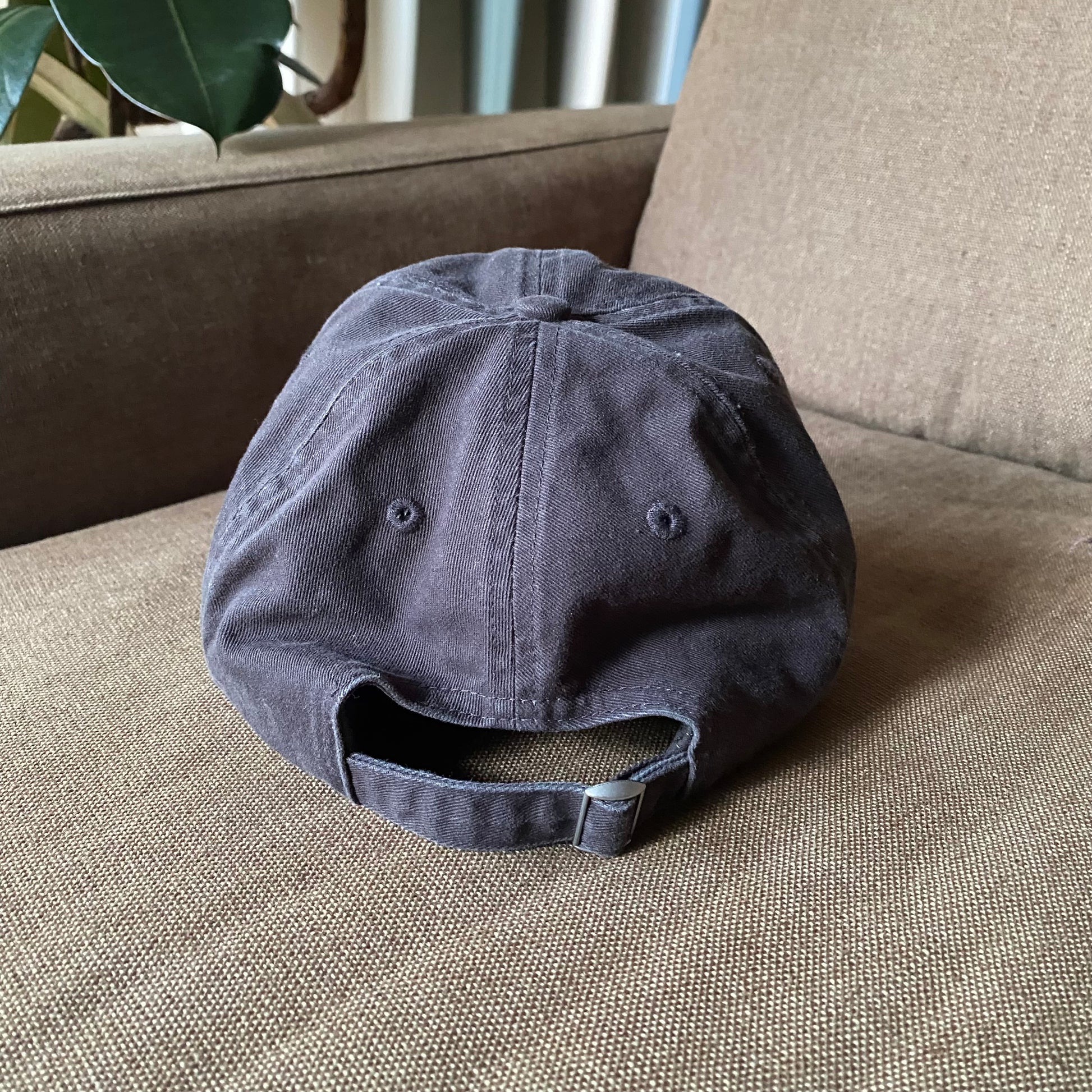 Litmus Embroidery Hat