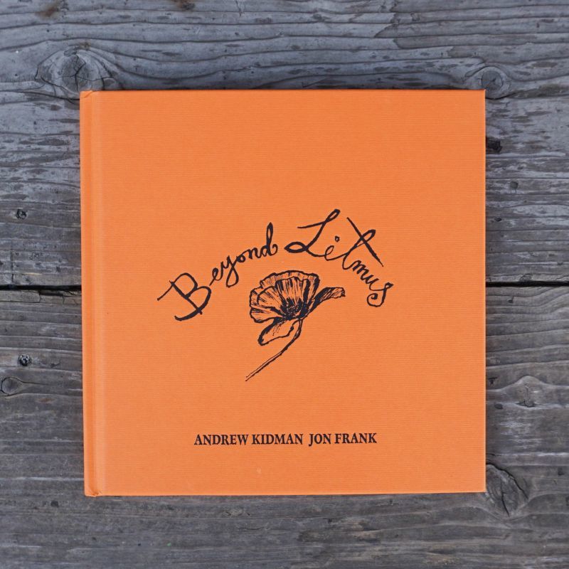 Beyond Litmus DVD付き