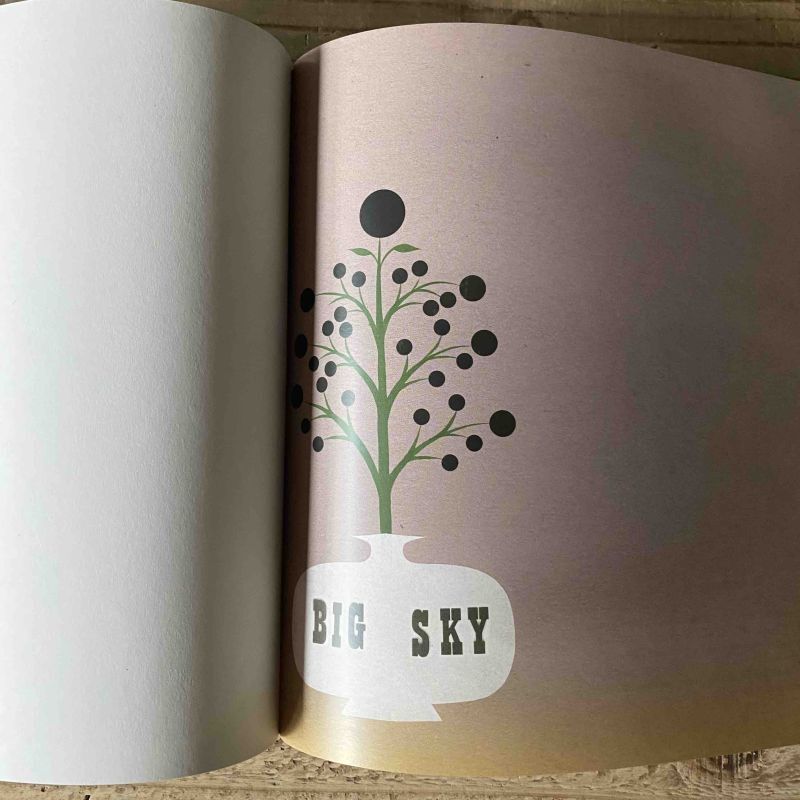 BIG SKY LIMITED BOOK/日本語字幕入DVDセット Aceton Magazine付き