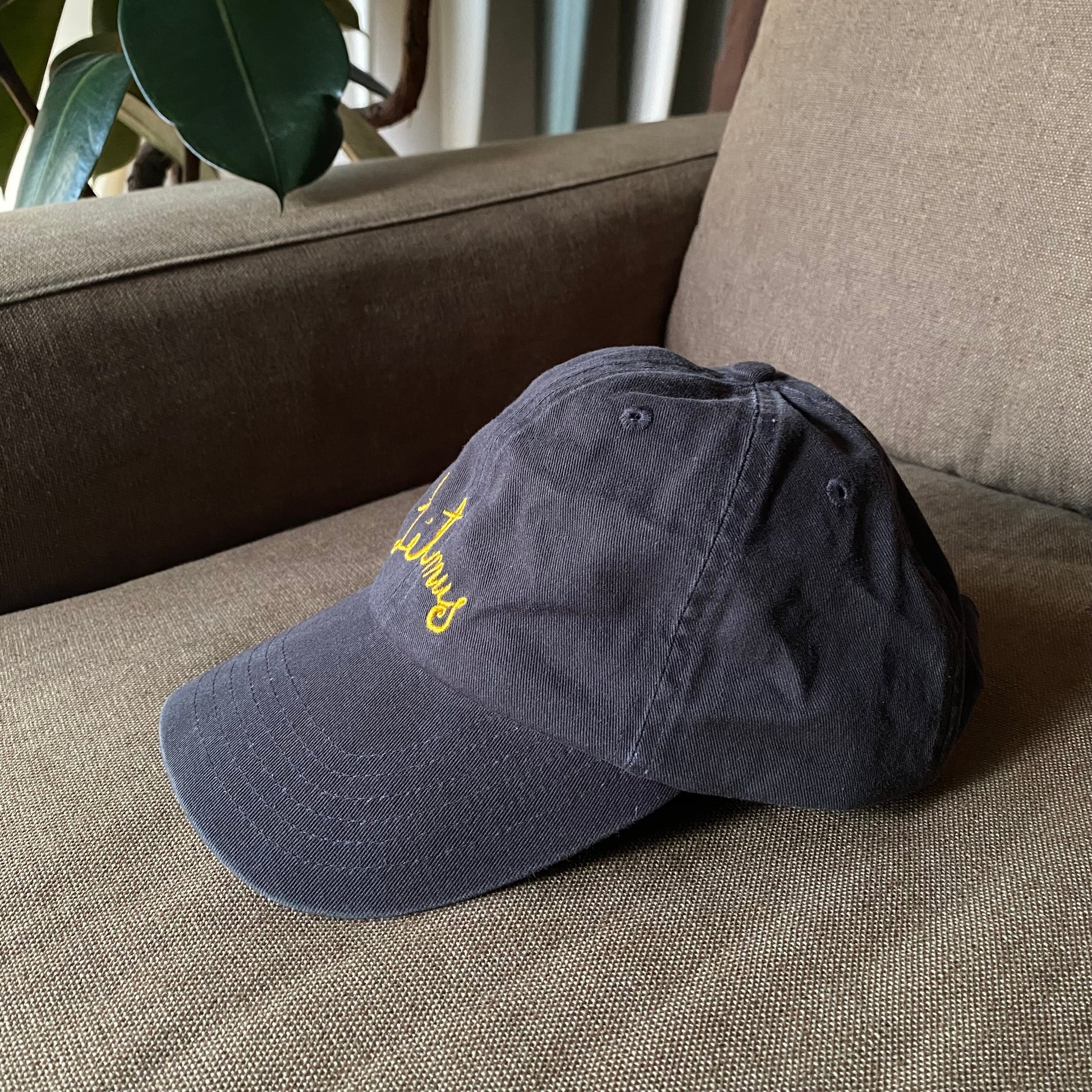 Litmus Embroidery Hat