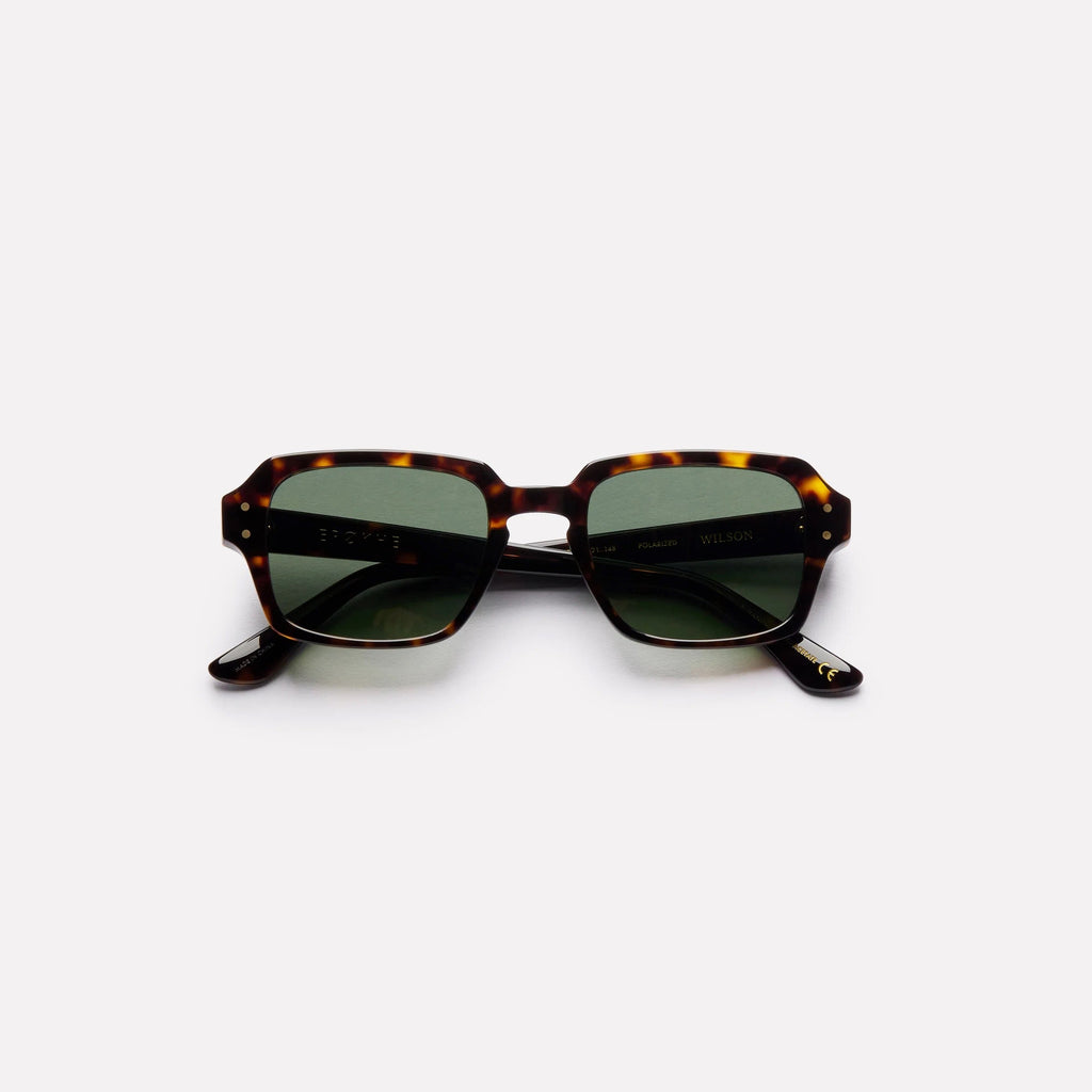 EPOKHE Wilson tortoise polished green polarized