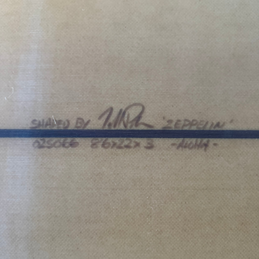 8’6”  Todd Pinder Zeppelin
