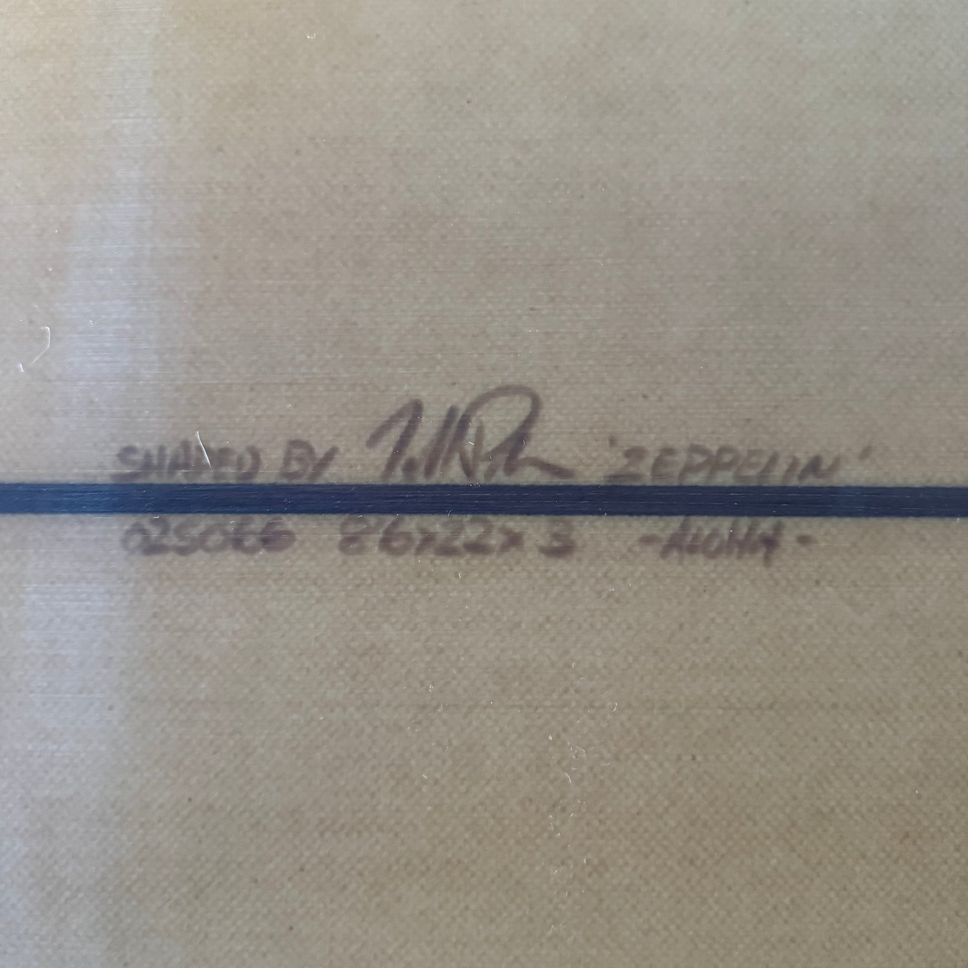 8’6”  Todd Pinder Zeppelin