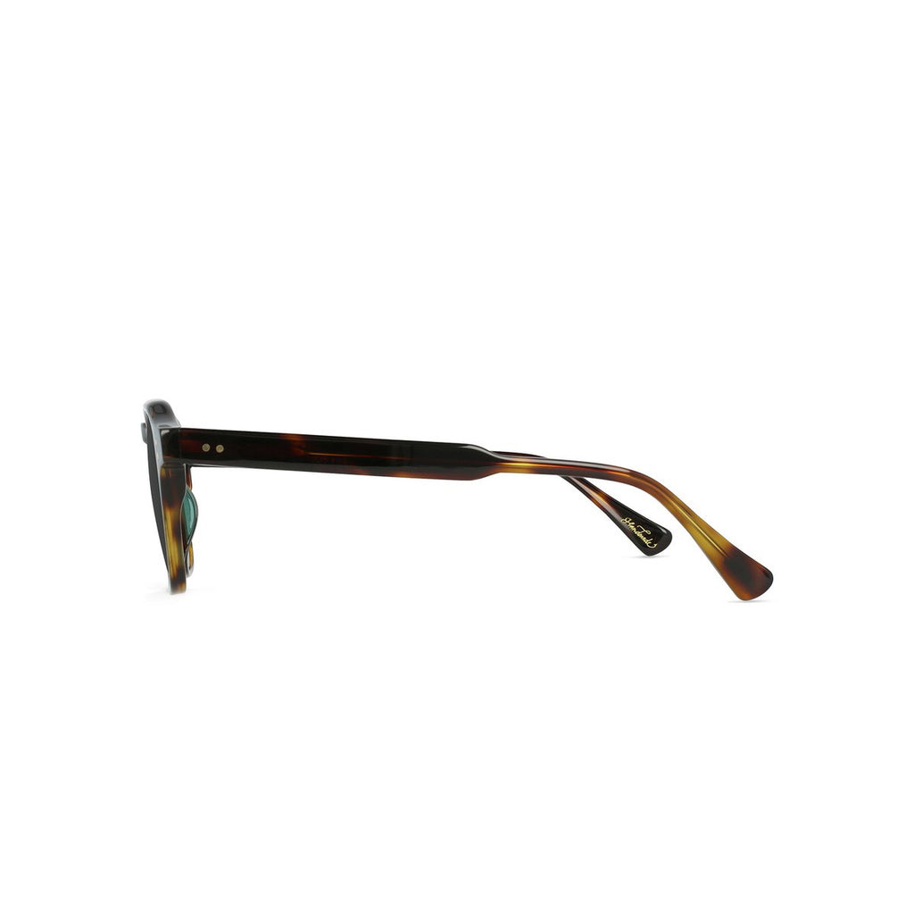 RAEN Aren 53 kola tortoise green polarized