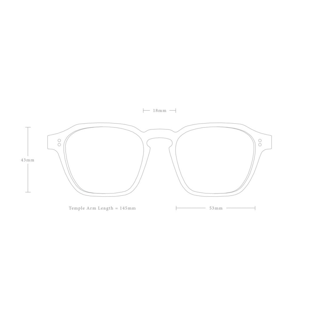 RAEN Aren 53 kola tortoise green polarized