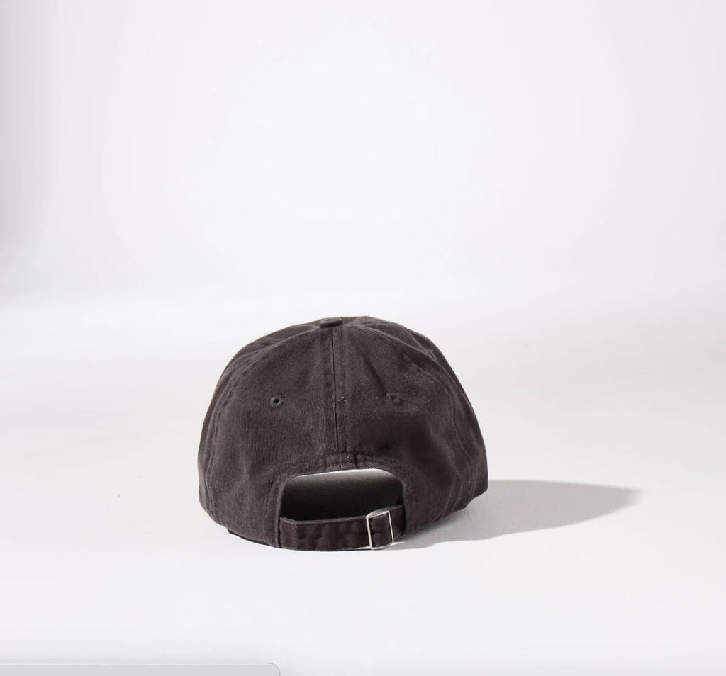 Litmus Embroidery Hat