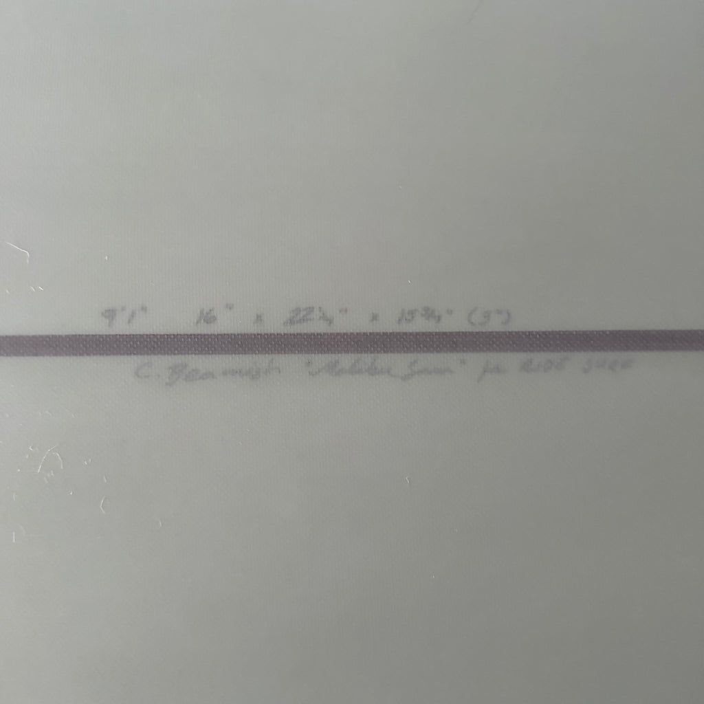 9'1" Christian Beamish Malibu Sam