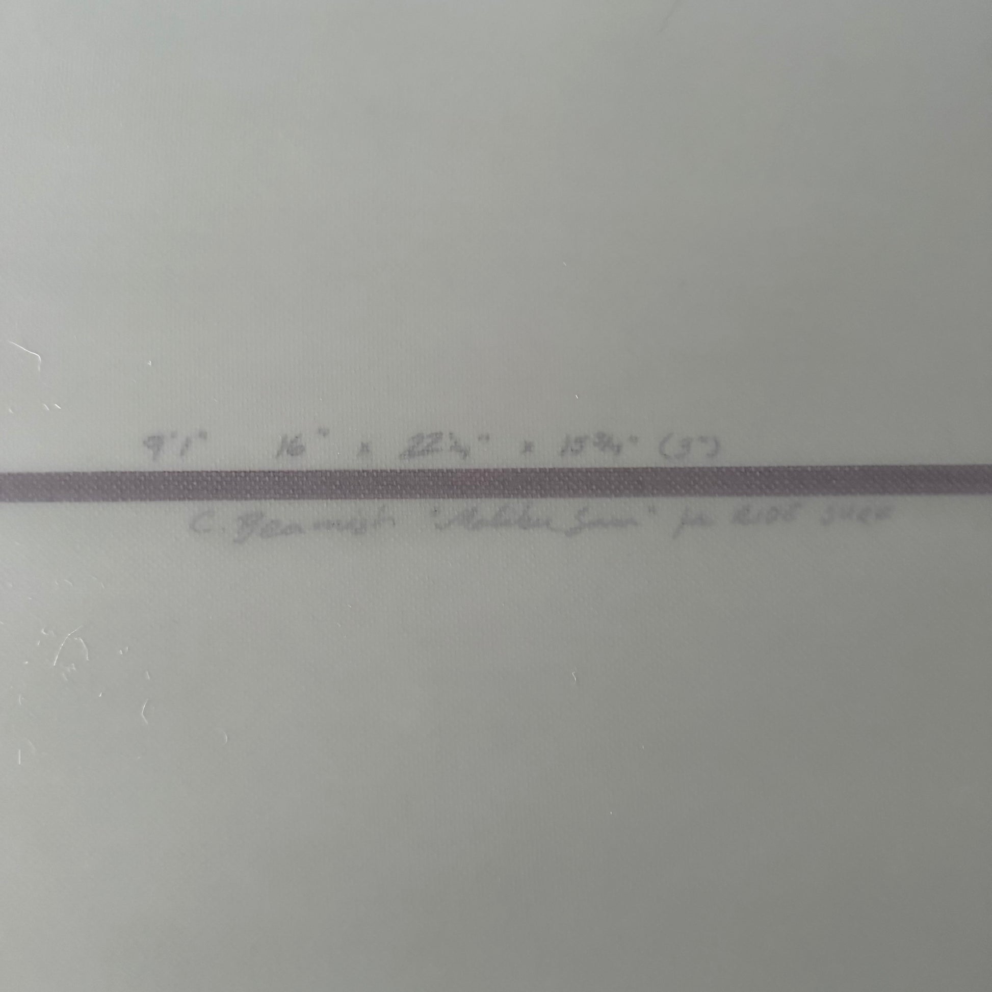 9'1" Christian Beamish Malibu Sam