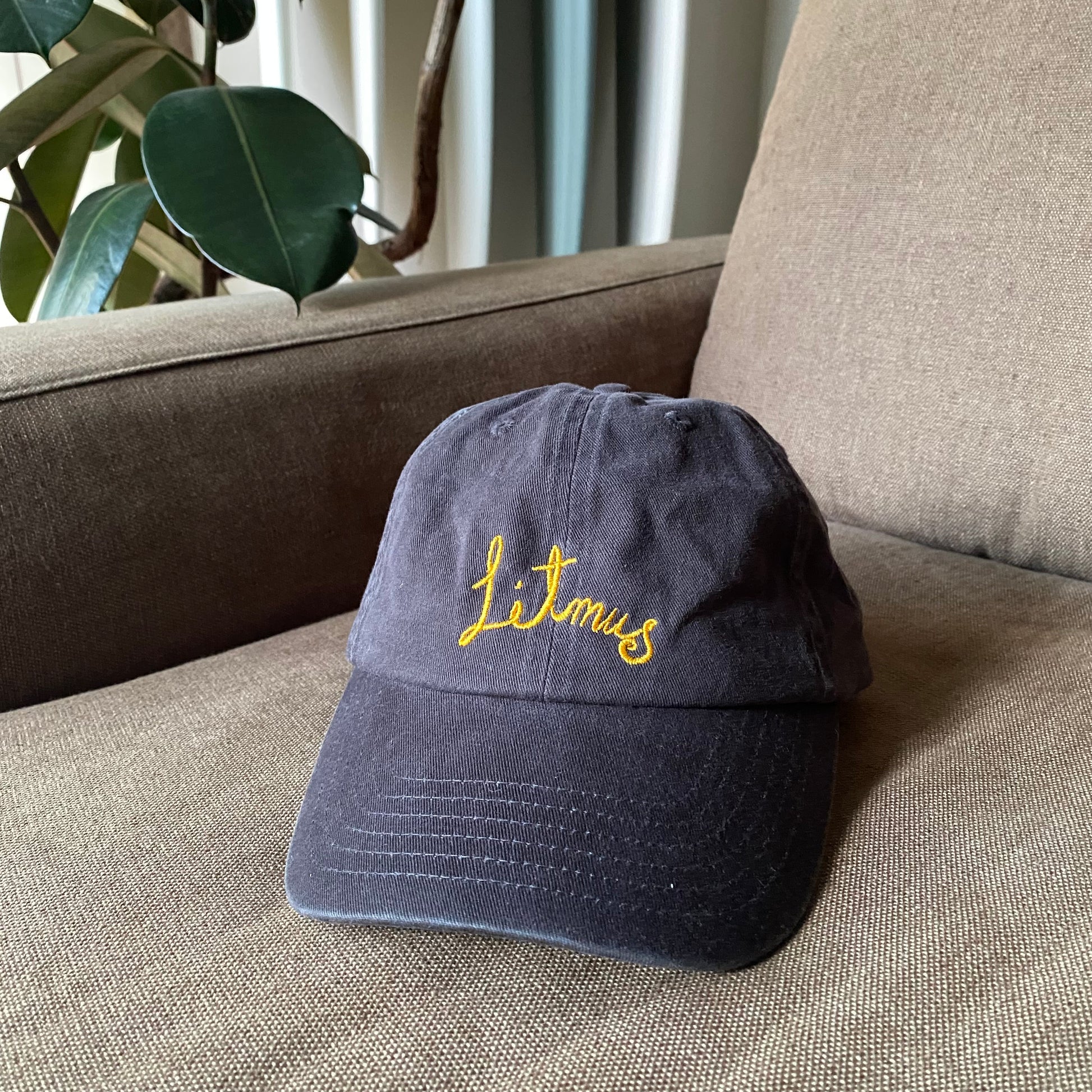 Litmus Embroidery Hat