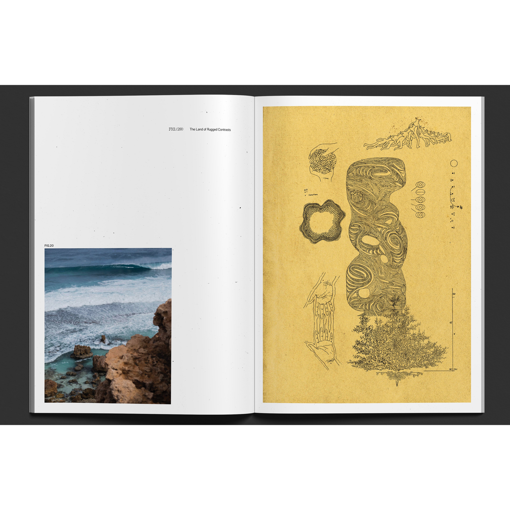 HARD CASE ISSUE 2
